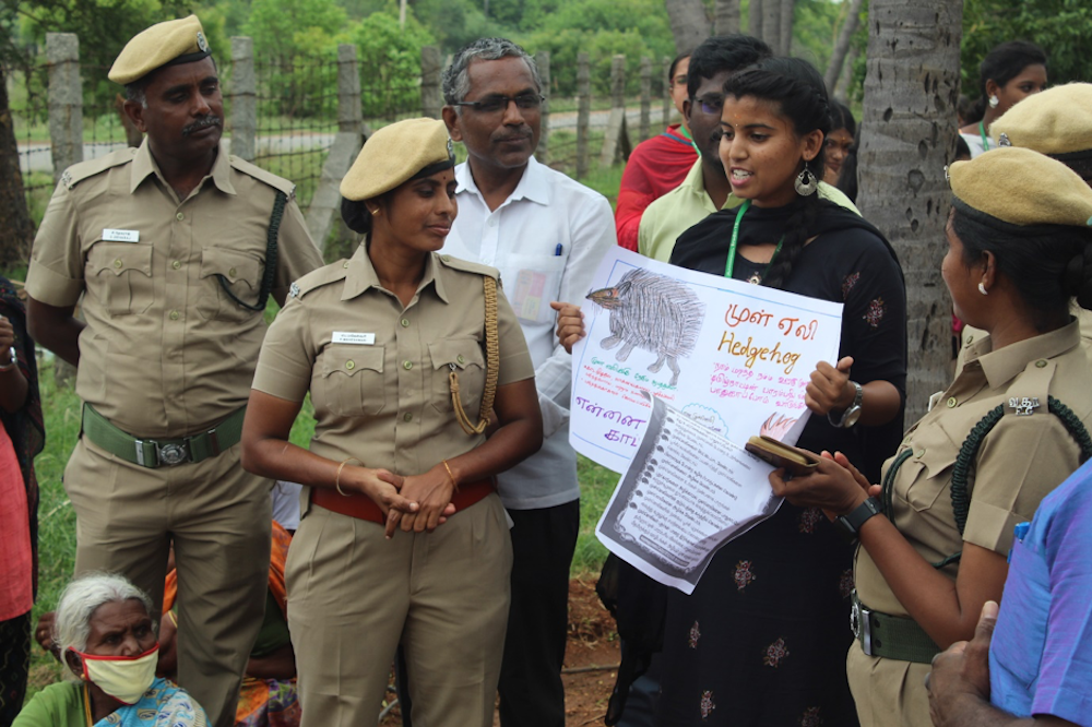 Conservation of the Madras Hedgehog in Rural Tamil Nadu | Conservation